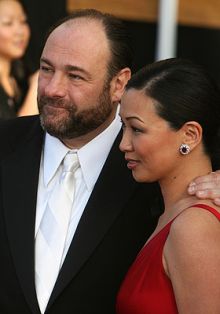 Supranos star James Gandolfini has gotten married in Hawaii to long time girlfriend Deborah Lin