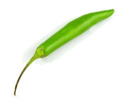 The FDA has stated that they have confirmed the same strain of salmonella bacteria that has sickened thousands of Americans on a Mexican farm that produces serrano peppers