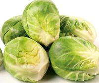 An outbreak of salmonella bacteria has resulted in the recall of sprouts